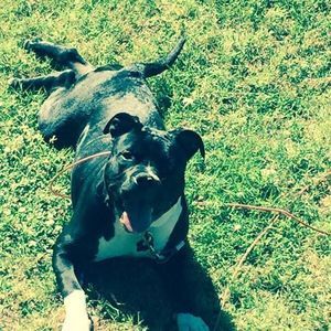 Meet your Posher, Mario